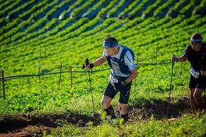 BIB: 
                            <button type="button" onclick="openModal(19160345)" class="btn btn-primary btn-sm float-right btn-popup" data-toggle="modal" data-target=".modal-high-quality">
                        <i class="fas fa-shopping-cart"></i> Add to Cart
                    </button>
                                            <button type="button" onclick="isThisMe(19160345, true)" class="btn btn-success btn-sm float-right btn-popup btn-isme hidden" data-toggle="tooltip" data-placement="bottom" title="นี่คือรูปของคุณใช่ไหม คลิกที่นี่เพื่อเอาเข้าอัลบั้ม">
                        <i class="fas fa-plus"></i> Add to album
                    </button>
                    <button type="button" onclick="isThisMe(19160345, false)" class="btn btn-warning btn-sm float-right btn-popup btn-isnotme hidden">
                        <i class="fas fa-ban"></i> Remove from album
                    </button>